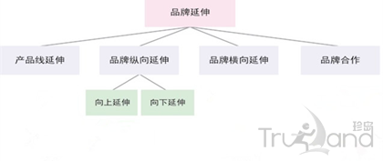 如何促进品牌的延伸